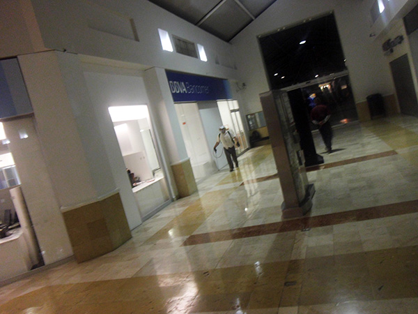 Control de Plagas Comercial